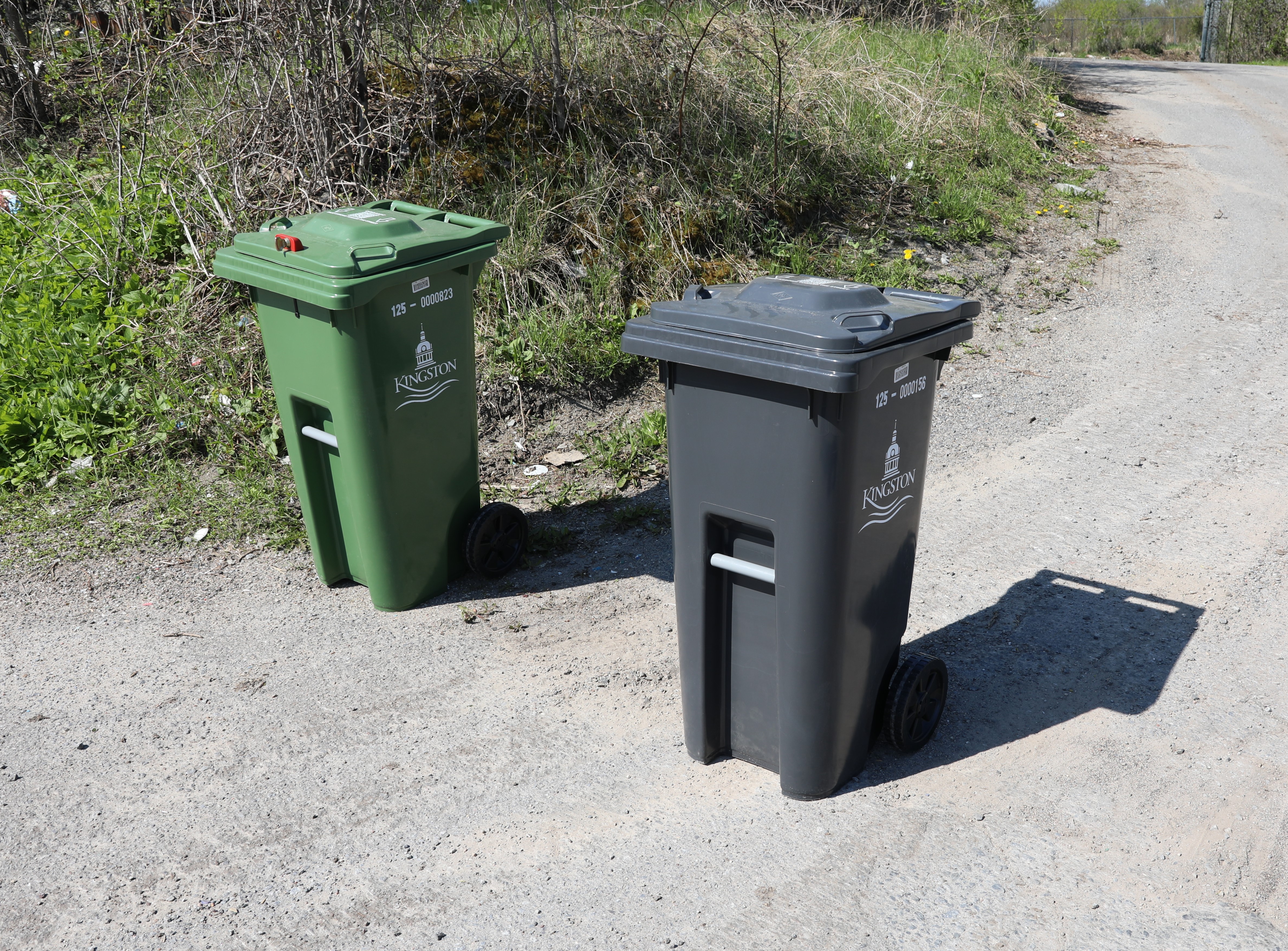 Two wheeled garbage bins, one green and one black